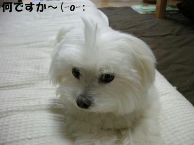 DSCN4845.JPG