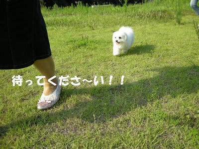 DSCN4884.JPG
