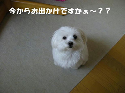 DSCN4866.JPG