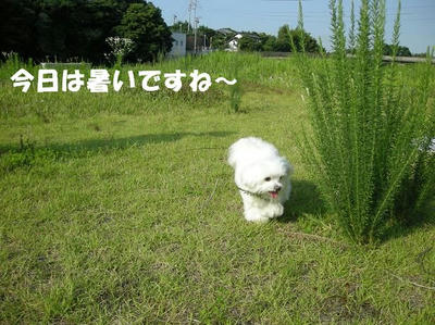 DSCN4889.JPG