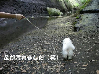 DSCN4877.JPG