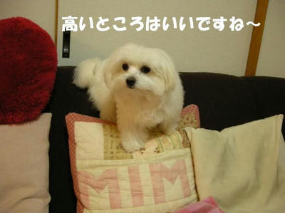 DSCN4324.JPG
