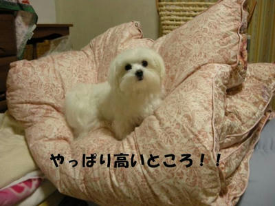 DSCN4850.JPG