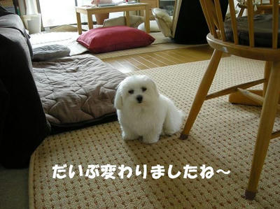 DSCN4920.JPG