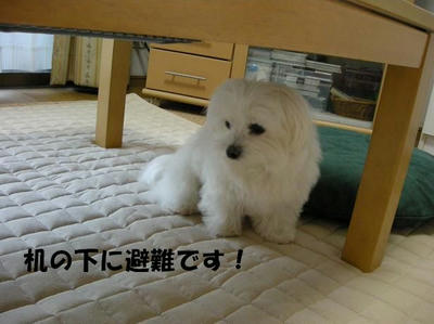 DSCN4962.JPG