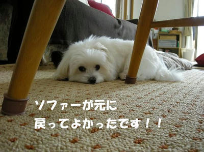 DSCN4921.JPG