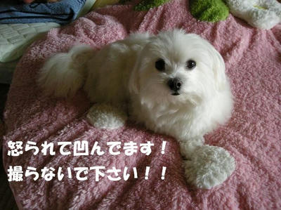 DSCN4972.JPG