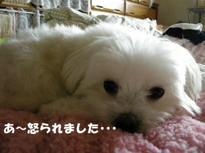 DSCN4974.JPG