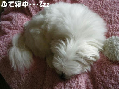 DSCN4975.JPG