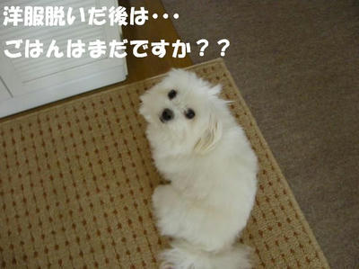 DSCN5155.JPG
