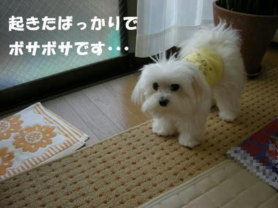 DSCN5159.JPG