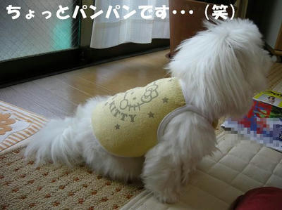 DSCN5163.JPG
