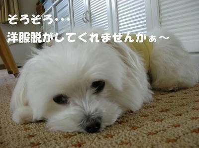 DSCN5175.JPG