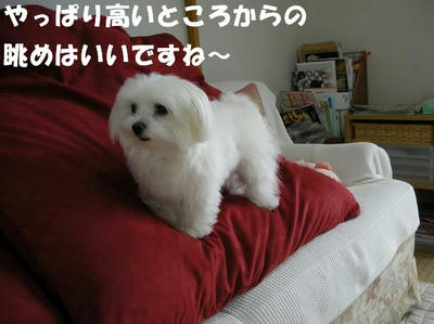 DSCN5186.JPG