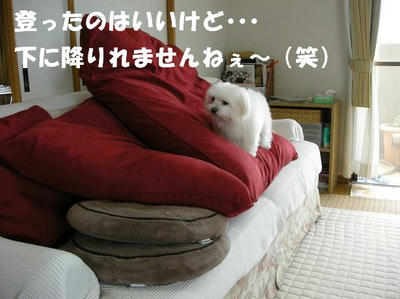 DSCN5188.JPG