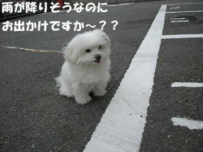 DSCN5196.JPG