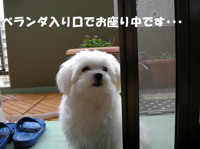 DSCN5223.JPG