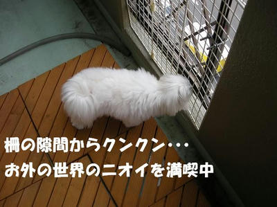 DSCN5229.JPG