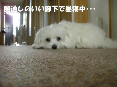 DSCN5244.JPG