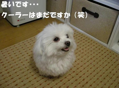 DSCN5251.JPG