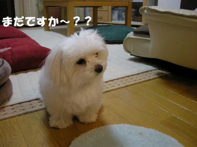 DSCN5264.JPG