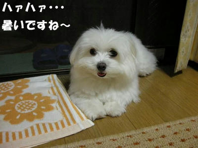 DSCN5275.JPG