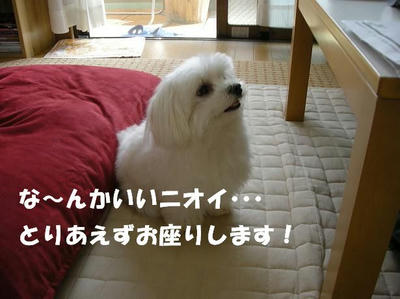 DSCN5297.JPG