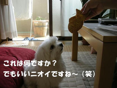 DSCN5299.JPG