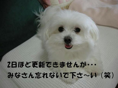 DSCN5300.JPG