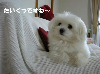 DSCN5307.JPG