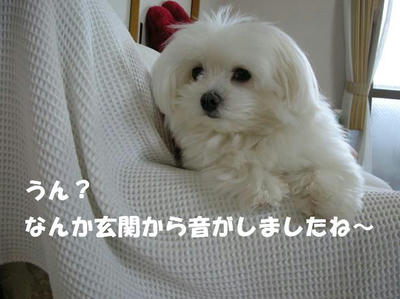 DSCN5309.JPG