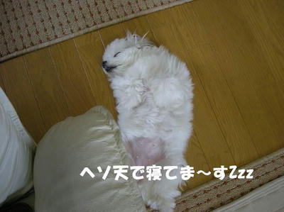 DSCN5316.JPG