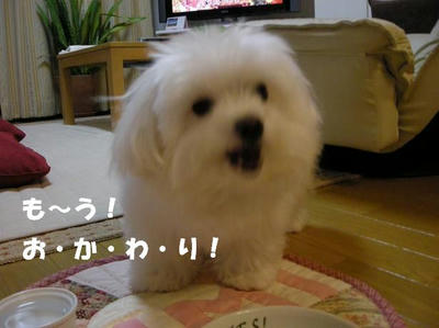 DSCN5330.JPG