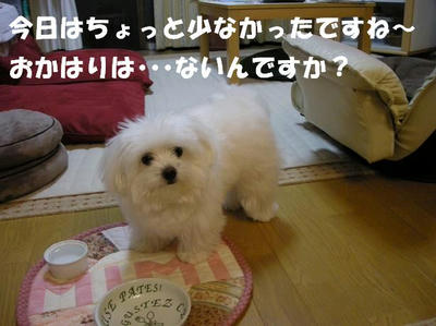 DSCN5332.JPG