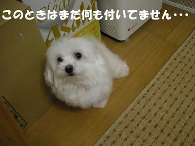 DSCN5346.JPG