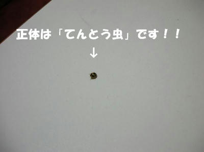 DSCN5352.JPG
