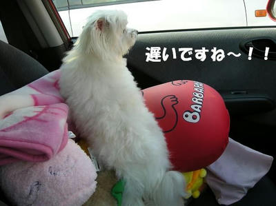 DSCN4893.JPG