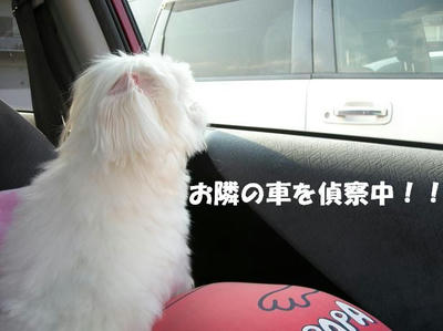 DSCN4895.JPG