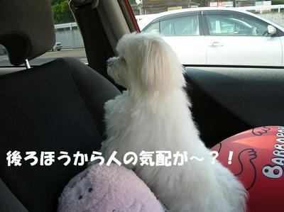 DSCN4899.JPG