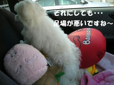 DSCN4902.JPG