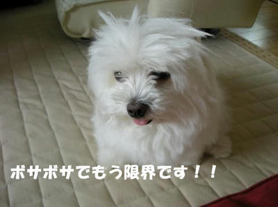 DSCN5384.JPG