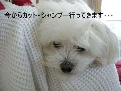 DSCN5388.JPG