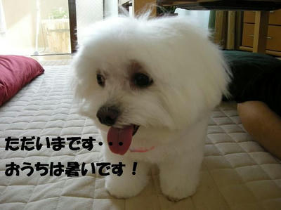 DSCN5393.JPG