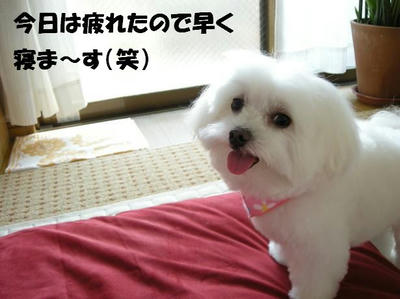 DSCN5396.JPG
