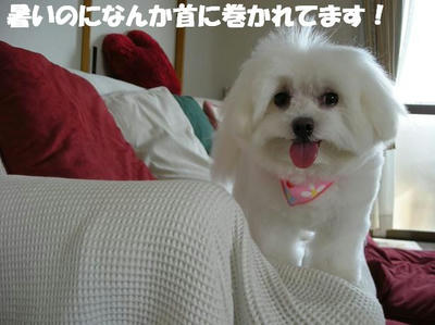DSCN5402.JPG