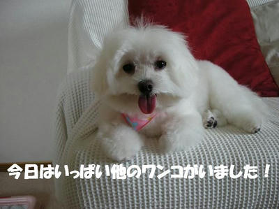 DSCN5411.JPG