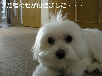 DSCN5471.JPG