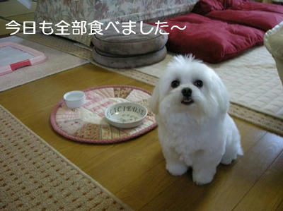 DSCN5483.JPG