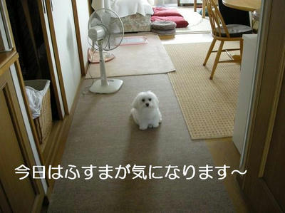 DSCN5524.JPG
