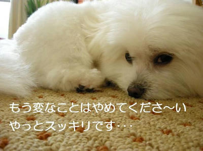 DSCN5422.JPG